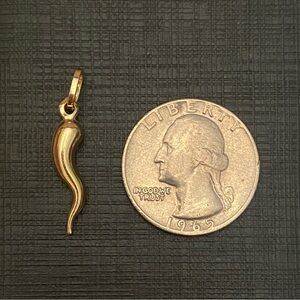 14k gold Italian cornicello horn